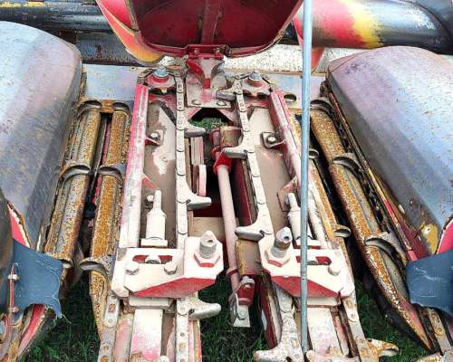 Mainero 2008 - 14 a 52 CM. año 2018