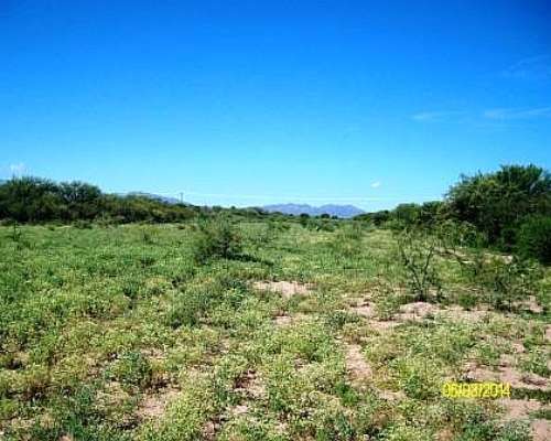 Excelente Campo Ganadero a 8 KMS del Centro de San Luis
