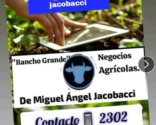 Somos Rancho Grande Negocios Agrícolas