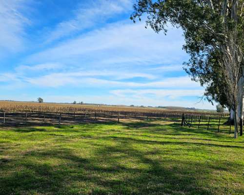 200 Hectáreas Mixtas. Sobre Autopista.