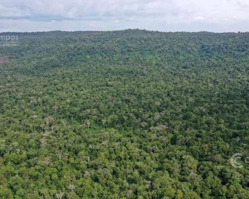 Se Vende. Campo Jardín América. de 306 Ha en SU Mayoria Mont