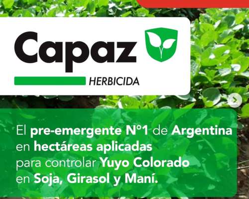 Vendo Herbicidas, Insecticidas, Funguicidas y Coadyuvantes