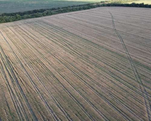 250 Hectáreas de Campo Agrícola en Gualeguaychú, Sobre Ripio