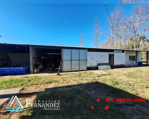 27 Has, con Mejoras y Forestación