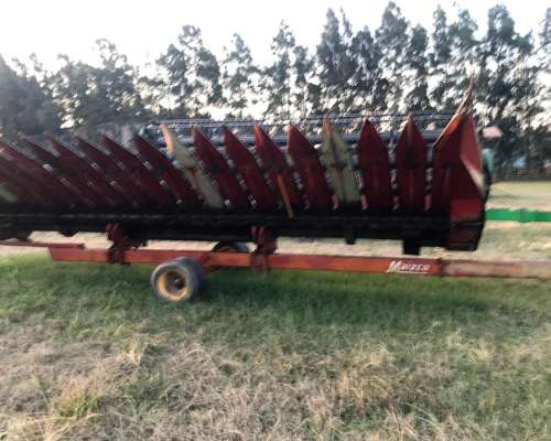 Se Vende Girazolero 10 a 52cm