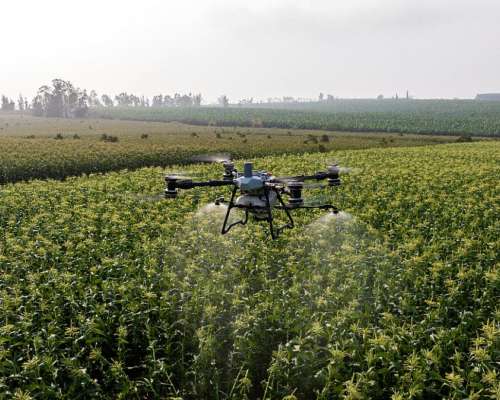 Drone DJI Agras T100 Finaciación + Entrega