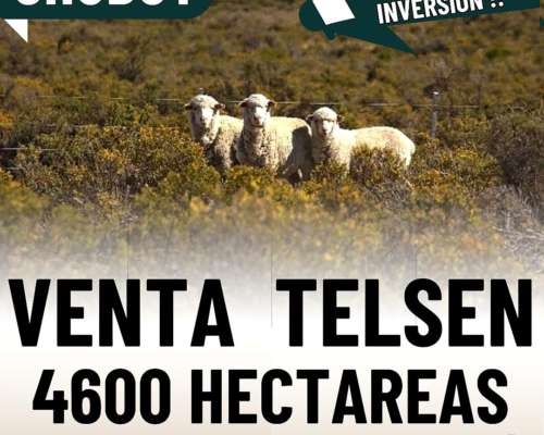 Venta Campo Telsen Chubut 4600 Hectáreas