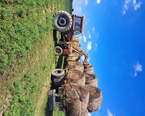 Vendo Rollos, Tipos y Calidades