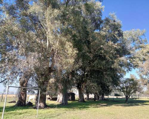Excelente Chacra en Venta