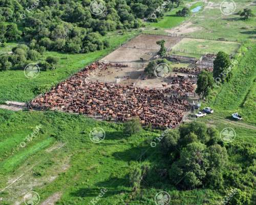 Campo en Venta de 31000 Has en Santa FE. Ganaderas/agrícolas