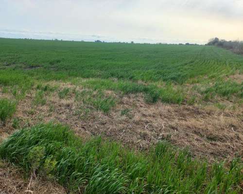 48 Hectareas Campo Agricola