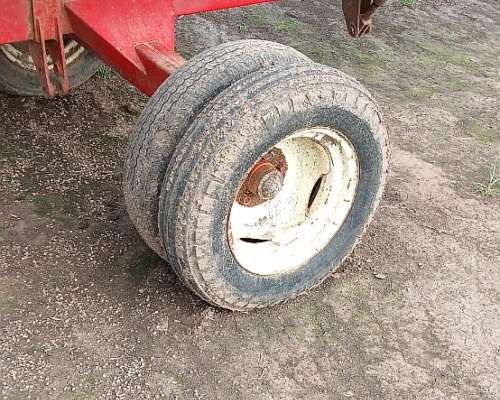 Girasolero Mainero 12 A52cm