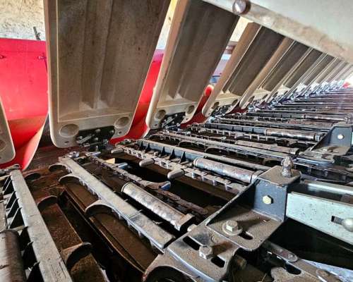 Maicero Maizco Premium 2017