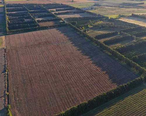 Oportunidad Campo de 31 Hectáreas Agricola