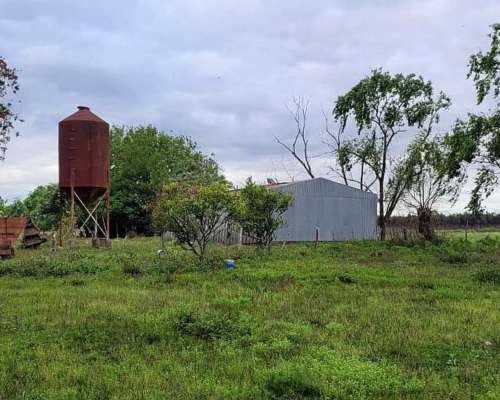 225 Ha en Ubajay - Dto. Colón. Entre Ríos