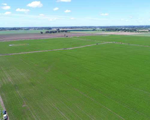 132 Has Agricolas Sierra de los Padres