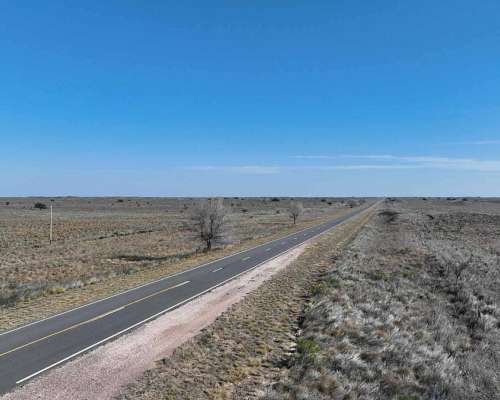 Pcia. de la Pampa - Santa Isabel 20000 Ha