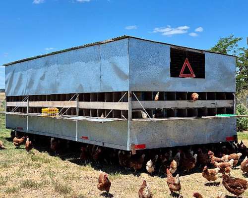 Gallinero Móvil 500 Gallinas