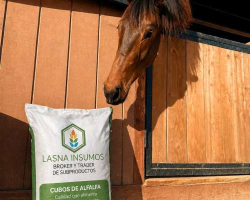 Cubos de Alfalfa - Lasna Insumos - MÍN 28 TN