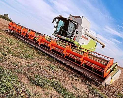 Cosechadora Claas Lexion 750