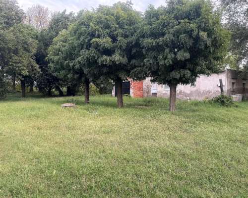 25 Hectáreas en Pedro Luro