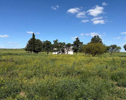284 Has. Bahia Blanca - Arrendamiento