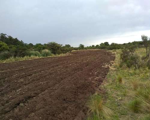 Campo Ganadero Mixto Cordoba