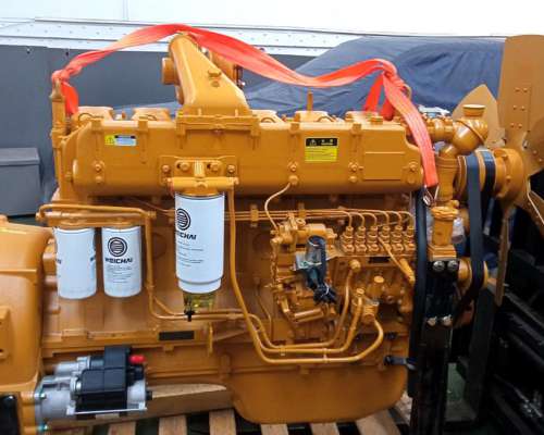 Motor Weichai WD10 Nuevo