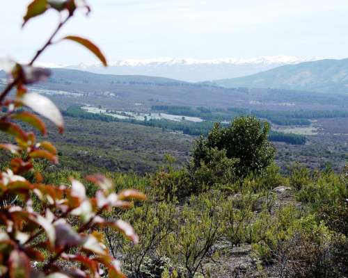 Fields y Land Opportunities Across Argentina
