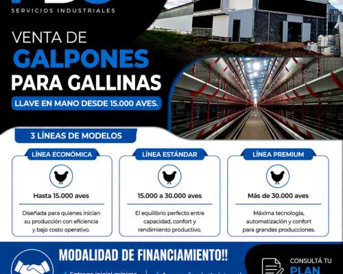 Galpones para Gallinas Llave en Mano