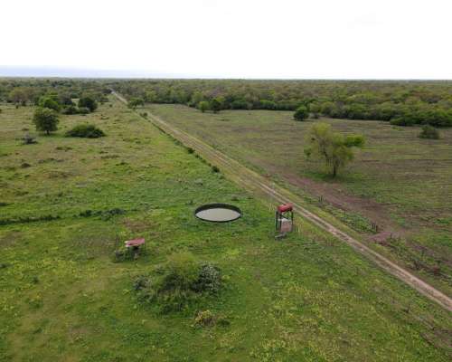 Ch0005 Campo en Presidencia de la Plaza, Chaco.