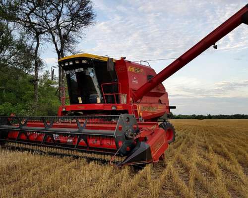 Don Roque 125e Electro