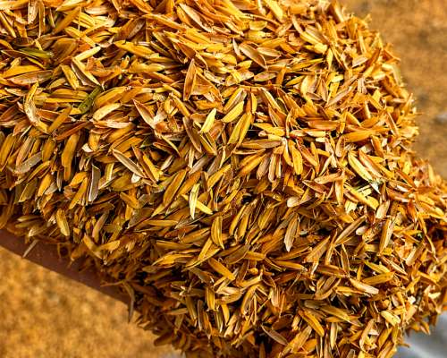 Megafardos de Cáscara de Arroz - Lasna Insumos - MÍN 24 TN