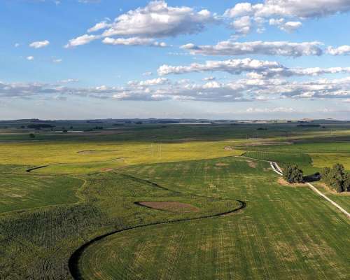Loberia- 2057 HA- Buenos Aires