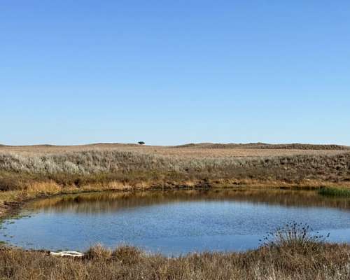 3700 Hectareas, el Durazno - la Pampa