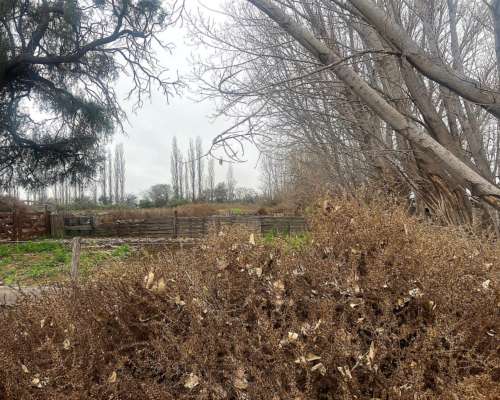 Campo para Vacas y Siembra de Asfalfa 1400 Hectáreas Mil DOL