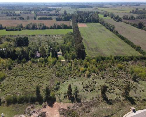 Campo en Venta de 118 Has en Exaltacion de la Cruz