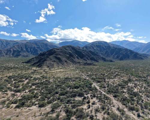 Pcia. de Tucuman - Tolombon 320 Ha