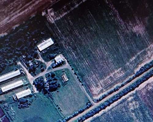 Vendo Criadero de Cerdos en Fighieras