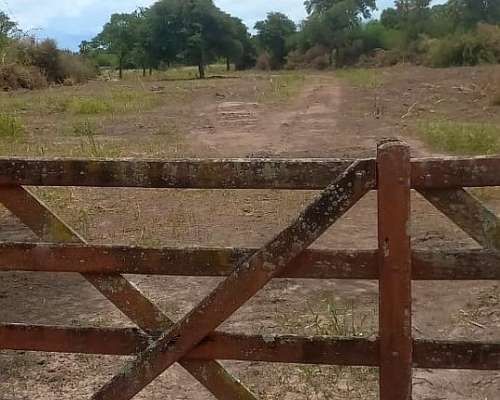 Campo Ganadero de 1133 Has S/pavimento el Colorado Formosa