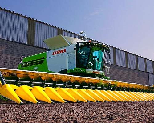 Maicero Allochis de 16 a 52 cm