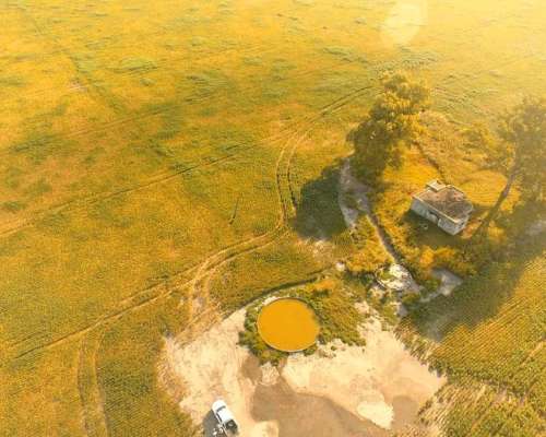 Campo en Venta en Colonia Castelar, Santa FE