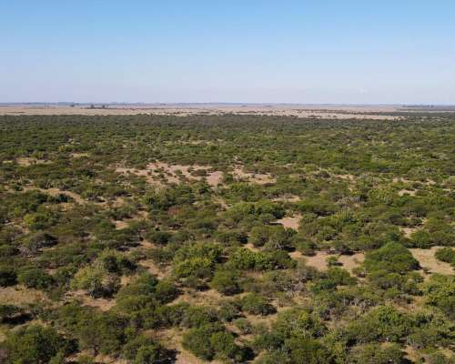 2700 Hectáreas Ganaderas en Ceibas en Gualeguaychú.