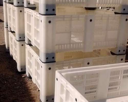 Binz Plásticos para Saladero - Quesería