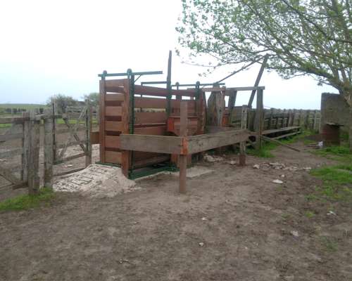 Campo Ganadero en Pipinas (bs. AS) - 881 Has