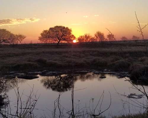 Recibo Hacienda en Capitalización