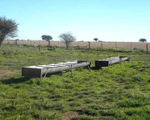 4 Ha en Venta en San Miguel Arcangel 48000 DOL