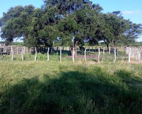 124 Ha Ganaderas. Campo Mixto. Zona Paraná