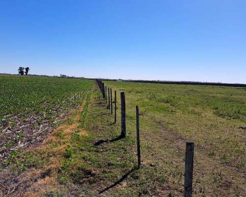 90 Ha Mixtas - los Quirquinchos - 64 Agricolas 26 Ganaderas