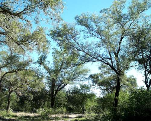 Campo en Venta de 2.124 Ha Sobre RN34